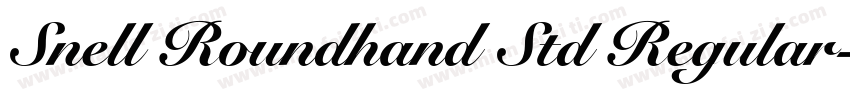 Snell Roundhand Std Regular字体转换